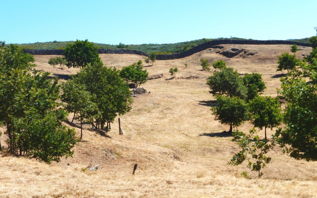 Farm